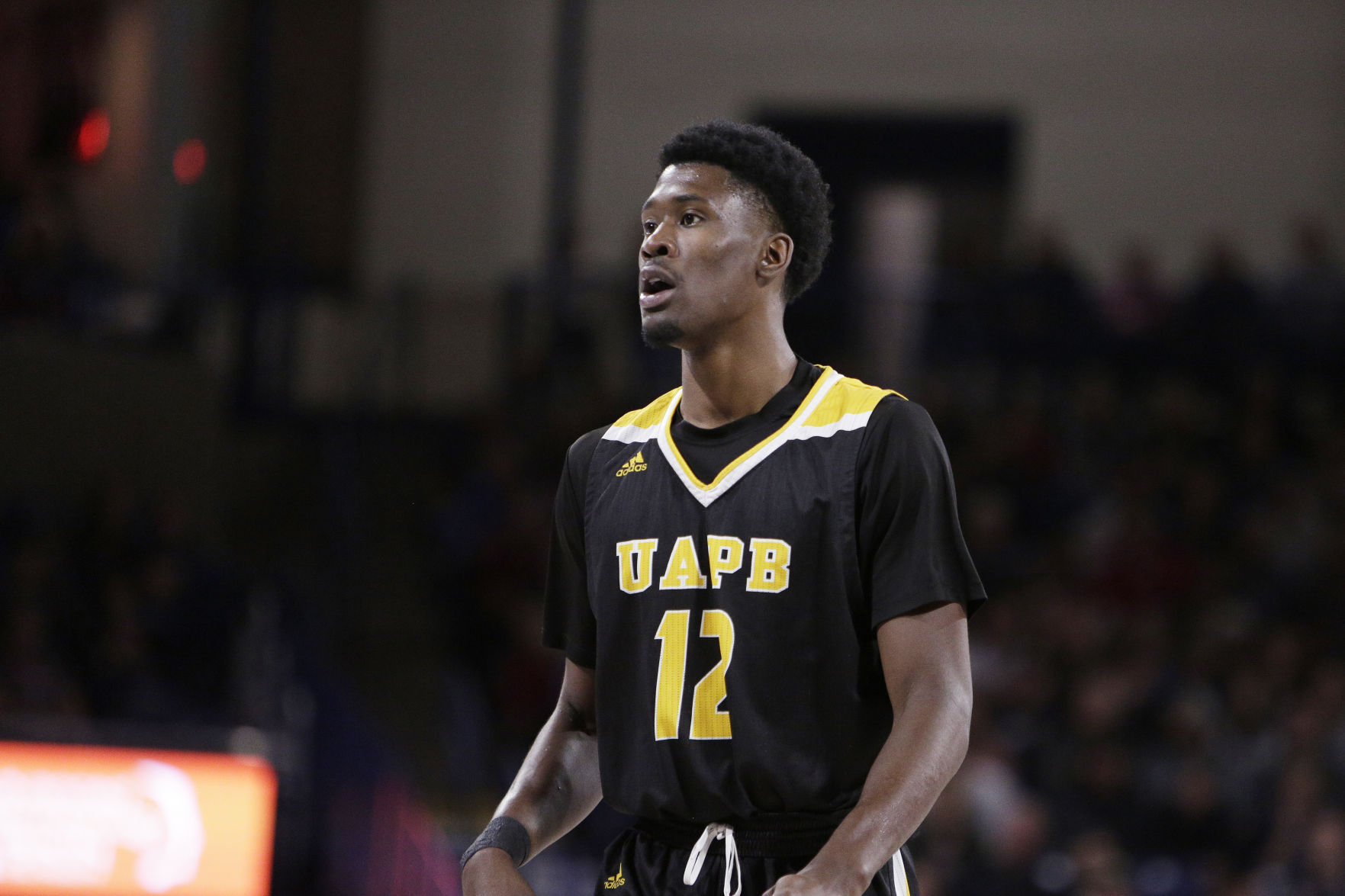 Arkansas-Pine Bluff forward Terrance Banyard